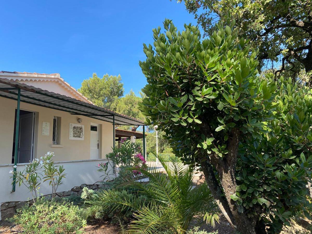 Camping Ladouceur in l'Escalet, Ramatuelle