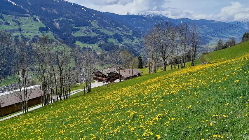 Hütte für 15 Personen, mit Garten und Sauna sowie Balkon in Aschau im Zillertal - 2