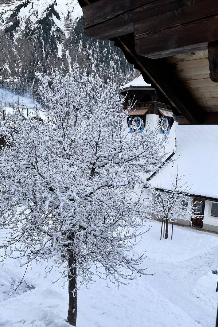 Ganze Wohnung, 4 Pièces 5 Personnes in Kandersteg, Frutigen - Lenk - Adelboden