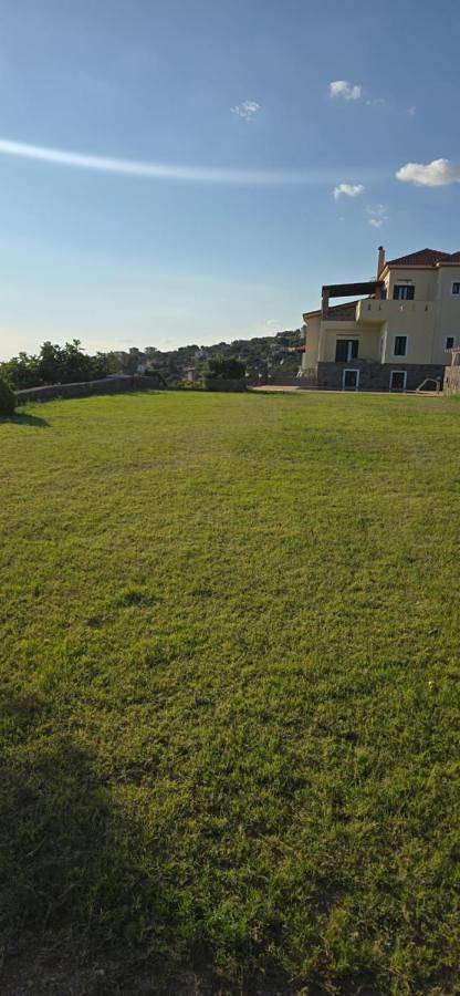 Location de vacances pour 20 personnes, avec vue ainsi que piscine et jardin dans Perdika - 4