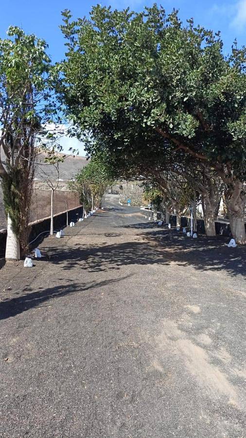 Chalet para 4 personas, con vistas y jardín en Provincia de Las Palmas - 3