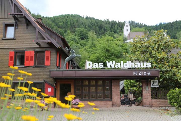 Hôtel pour 5 personnes, avec sauna et jardin, animaux acceptés à Forbach - 3