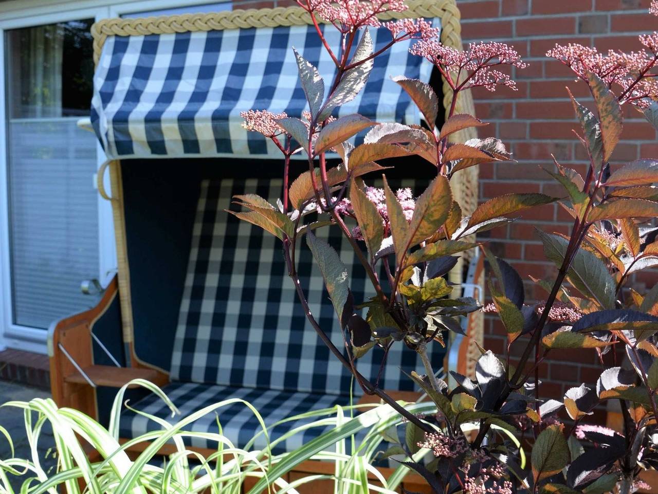 Ganze Ferienwohnung, Ferienhaus 8erwassereck in Ückeritz, Bernsteinbäder