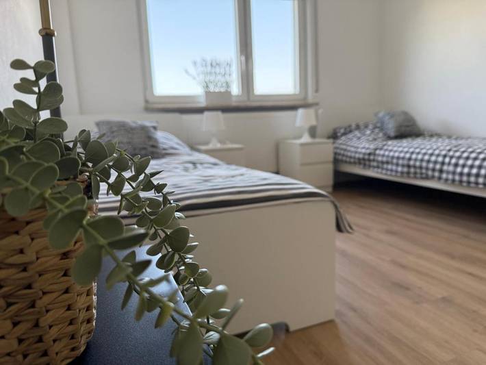 Gîte pour 6 personnes, avec vue ainsi que jardin et terrasse à Wilhelmsfeld - 2