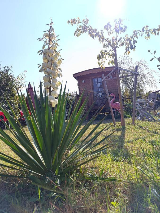 Roulotte Lou Gregau in Saintes-Maries-de-la-Mer, Région d'Arles