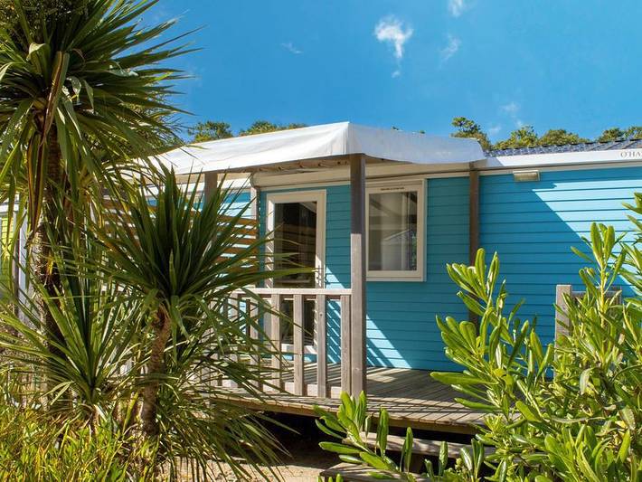 Camping pour 4 personnes, avec bassin pour enfant, animaux acceptés à Saint-Jean-de-Monts - 2