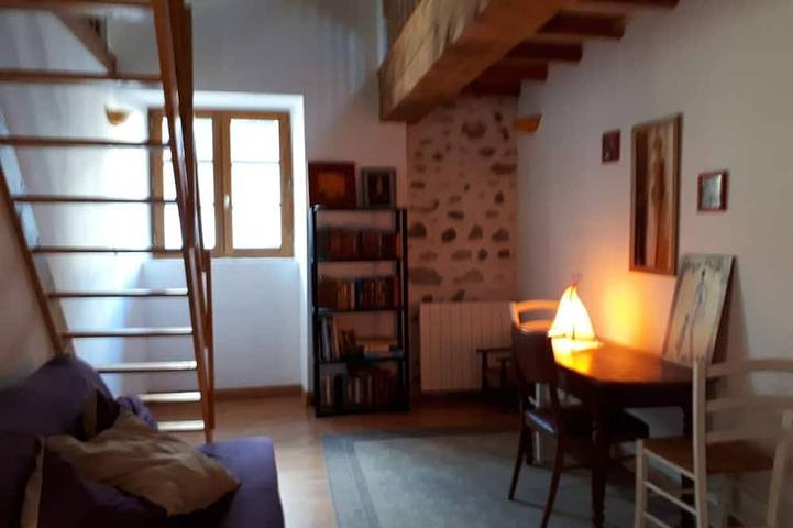 Gîte pour 10 personnes, avec jardin à Aste-Béon - 4