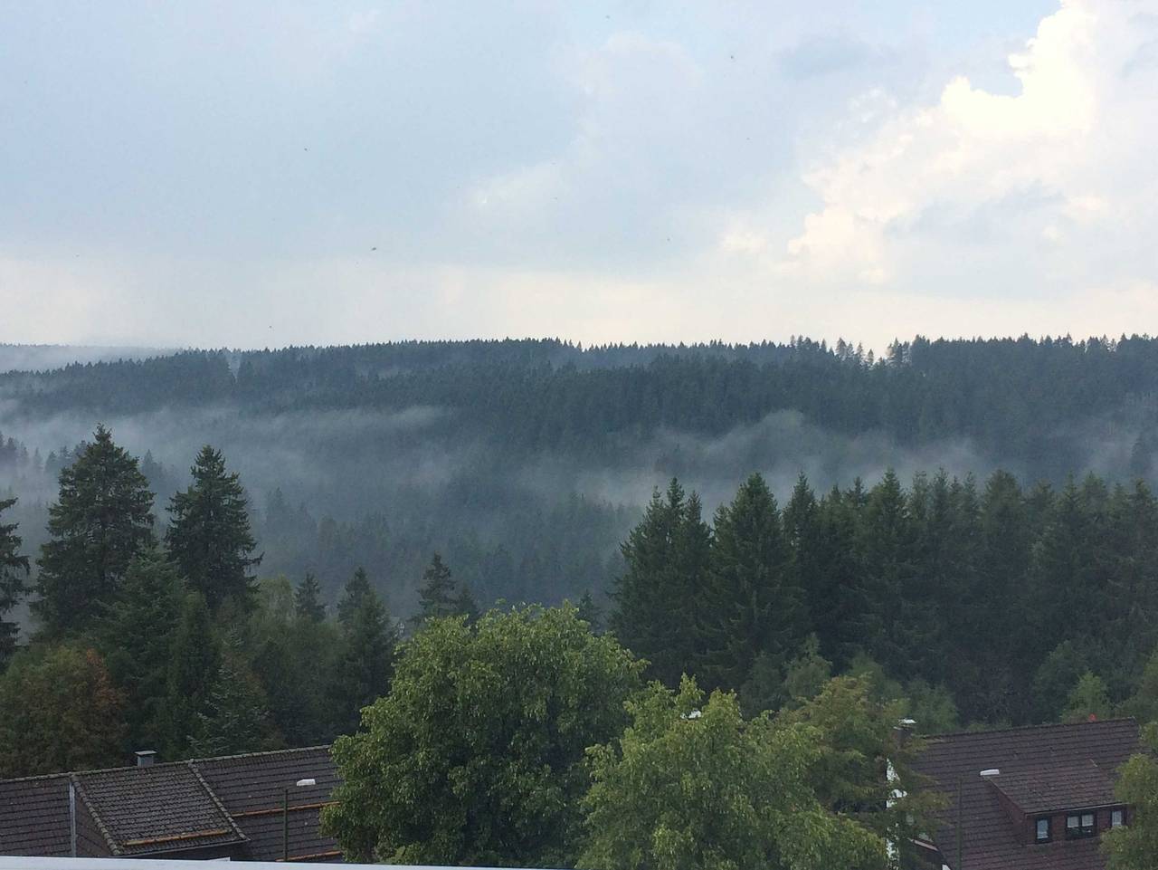 Ferienwohnung Murmeltier in Altenau, Harzvorland