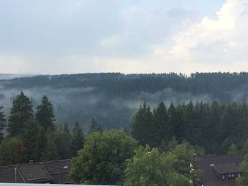 Ferienpark für 4 Personen in Altenau, Harz, Bild 4