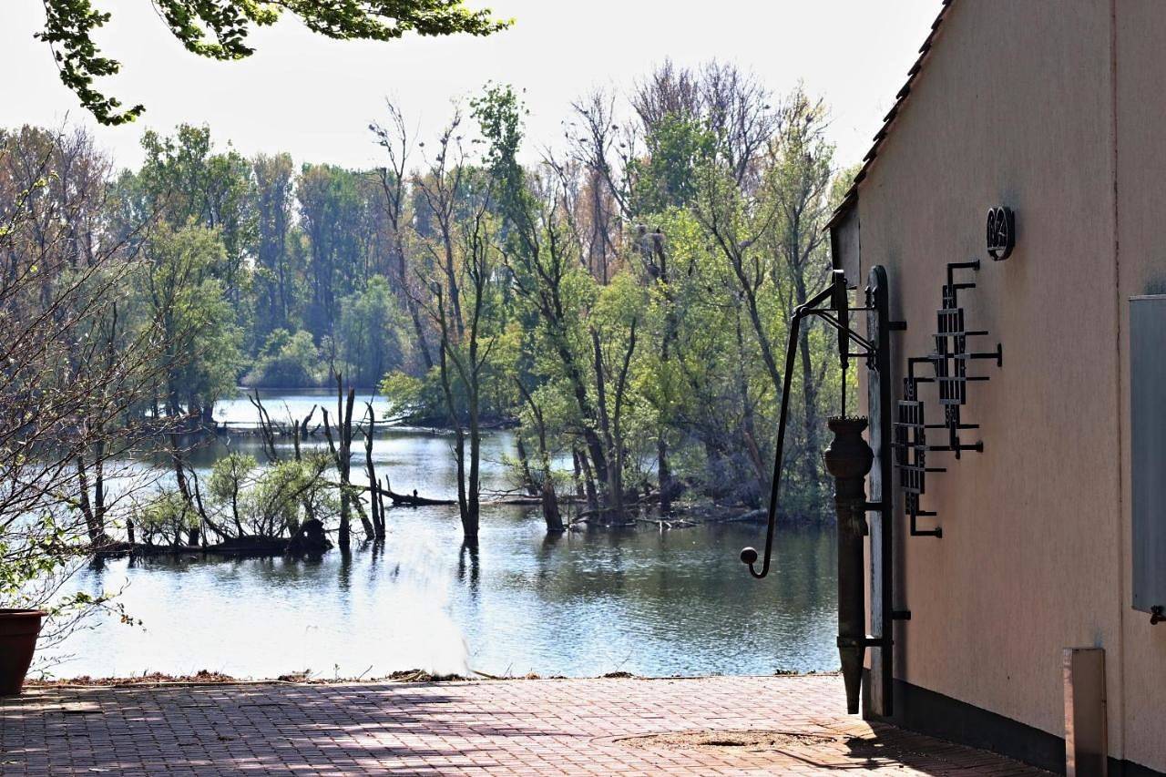 Ganze Wohnung, Apartment with Sauna in Xanten, Niederrhein