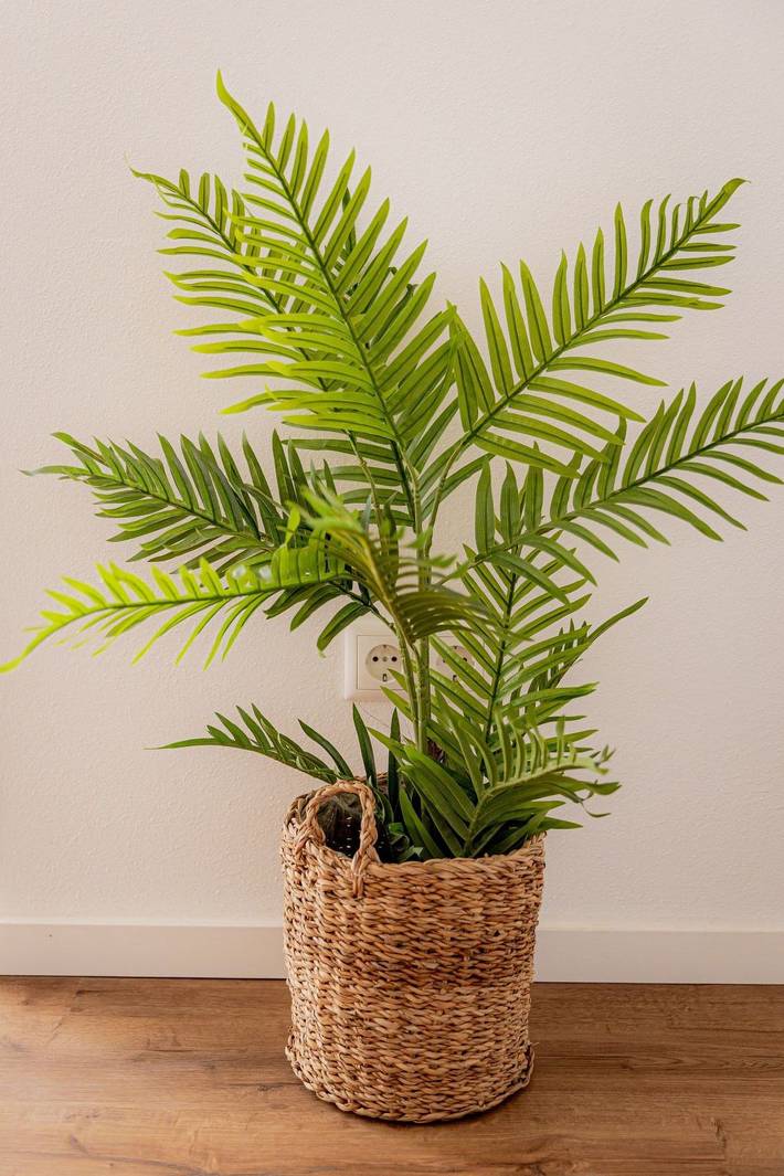 Gîte pour 4 personnes à Passau - 4