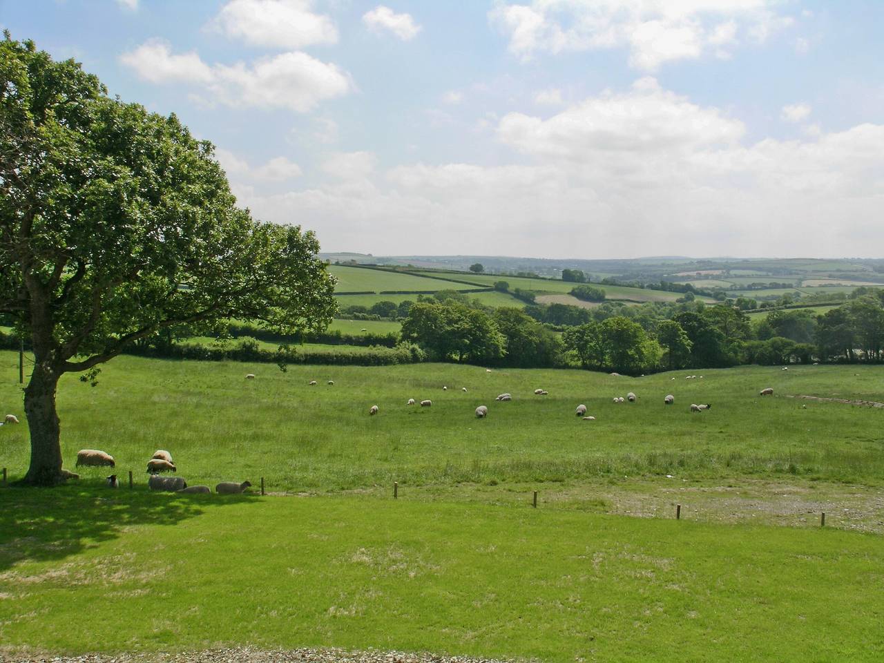 Lower Shippen - 23493 in Cornwall