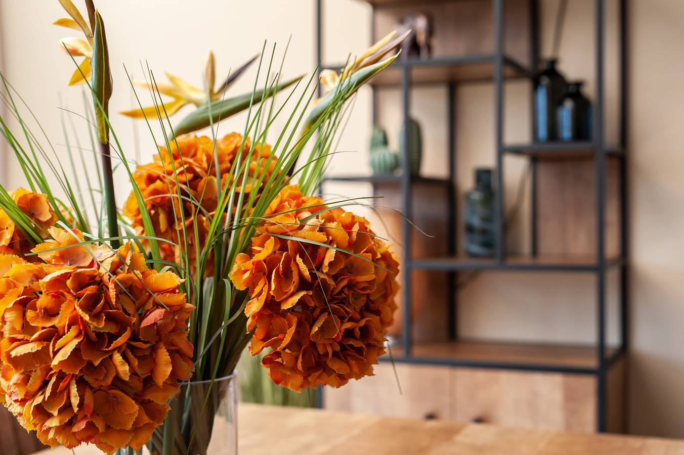 Kustpark Village Scaldia — Antibes 274 - Kustpark Village Scaldia in Hoofdplaat, Zeeuwse Kust