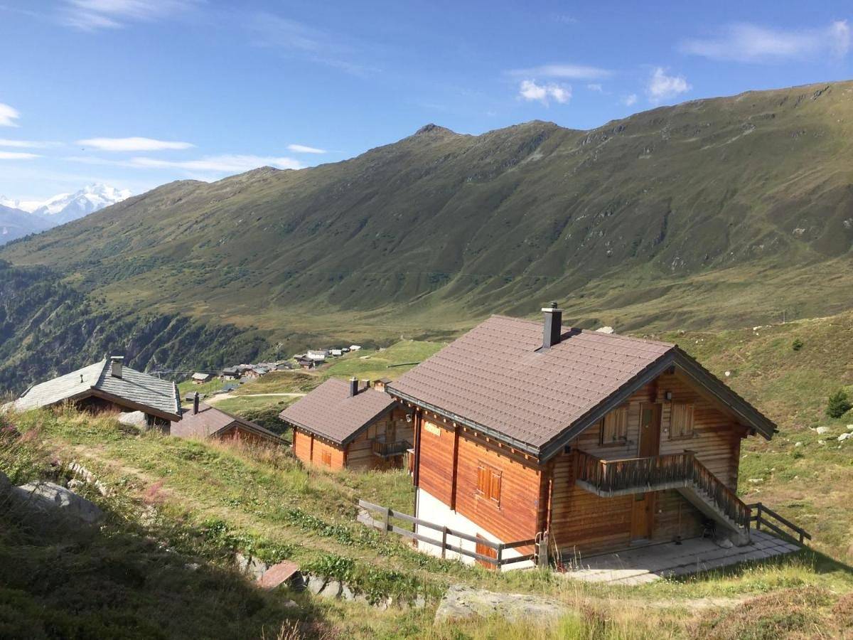 Geheel appartement, Farfalla in Blatten b. Naters, Naters