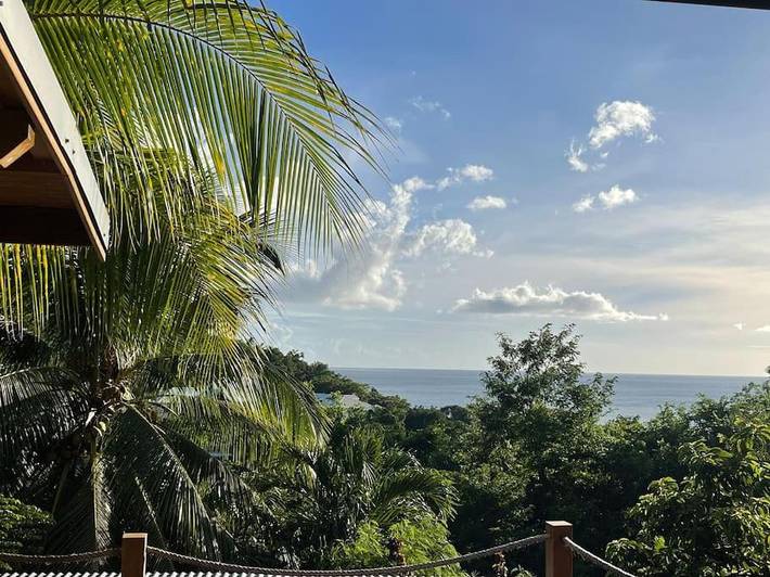 Gîte pour 2 personnes, avec vue et jardin, animaux acceptés à Gourbeyre - 4