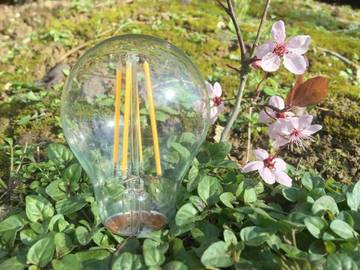 Hôtel pour 2 personnes, avec jardin et terrasse, animaux acceptés à Collégien (Seine-et-Marne)