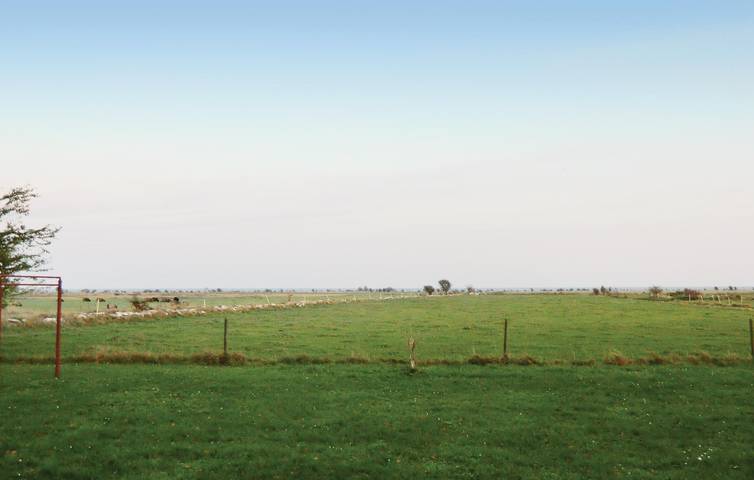 Ferienhaus für 6 Personen, mit Garten und Terrasse auf Öland - 3