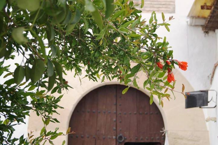 Casa rural para 4 personas, con piscina y terraza, Se admiten mascotas en Moclín