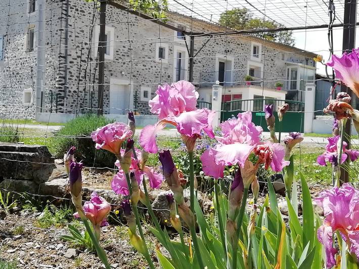 Chambre d’hôte pour 2 personnes, avec jardin dans Privas - 2