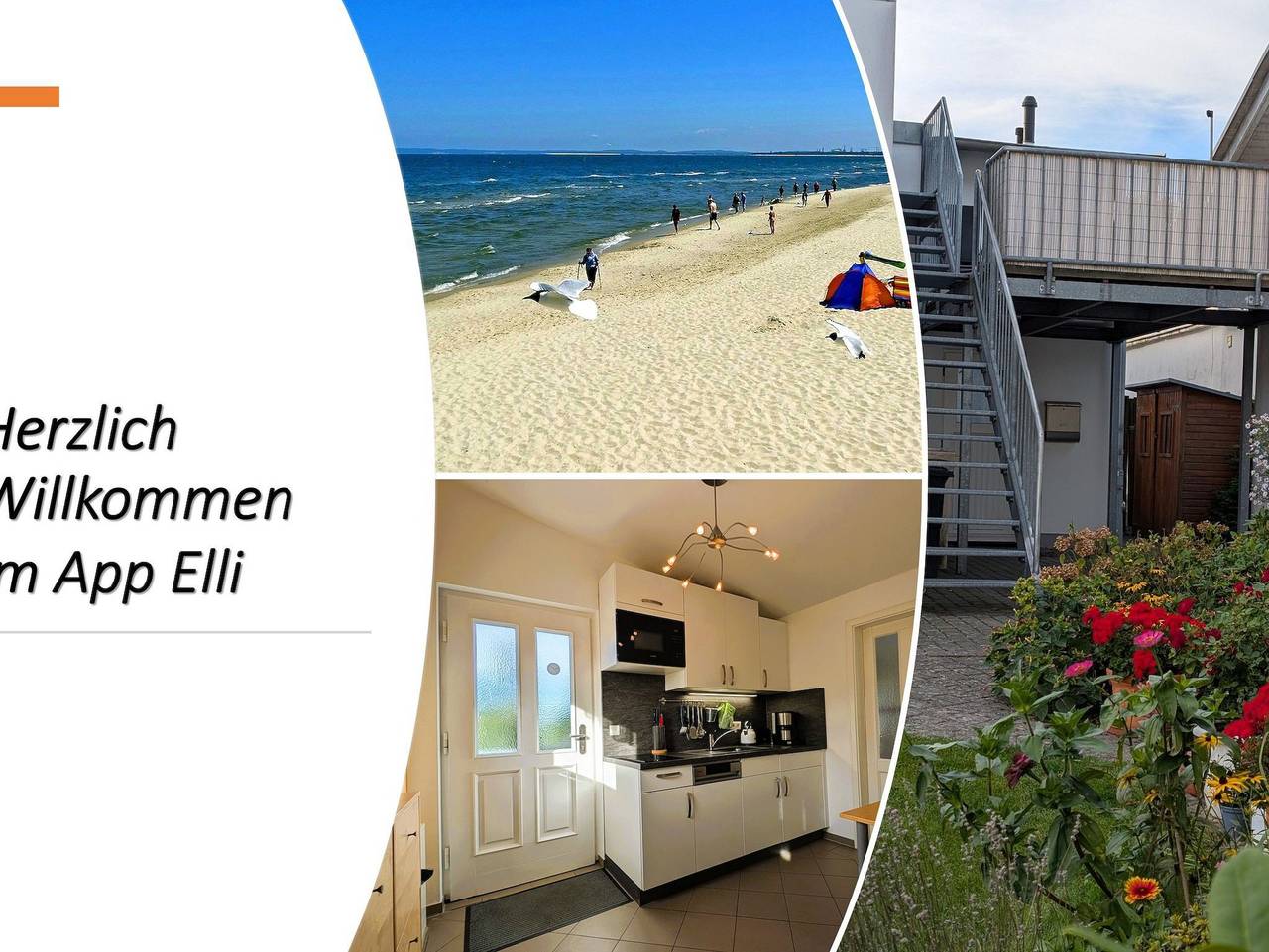 Ferienwohnung in Usedom ab 77€ pro Nacht