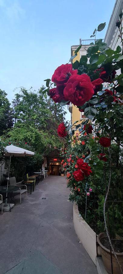 Maison d’hôte pour 2 personnes, avec Terrasse ainsi que Jardin et Vue à Bucarest