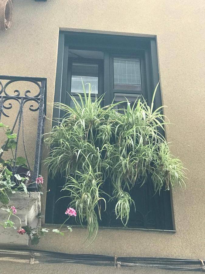 Appartement entier, Aittitta Makurra etxea in Lekeitio, Côte Basque (Espagne)