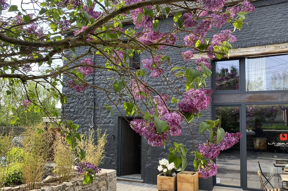 A village house combining design and vintage in Regio Namur