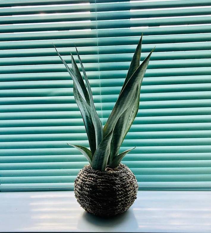 Location de vacances pour 4 personnes, avec jardin, animaux acceptés à Bury - 2