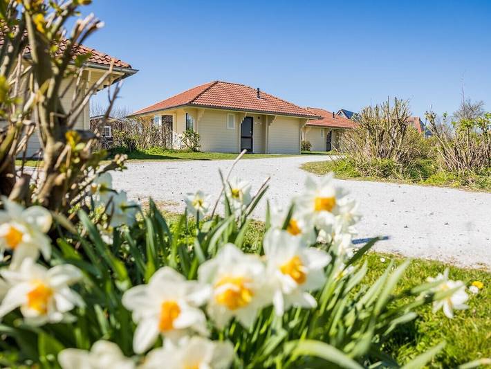 Ferienhaus für 6 Personen, mit Whirlpool und Terrasse in Oosterend