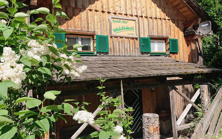 Bauernhof für 3 Personen, mit Garten und Sauna in Bad Mitterndorf
