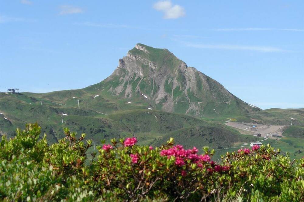 Ganze Wohnung, Einzelzimmer - Hotel Garni Ragaz in Damüls, Bregenzerwald