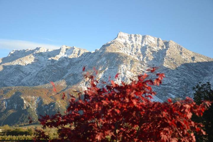 Hôtel pour 3 personnes, avec vue et jardin, animaux acceptés à Levico Terme - 4