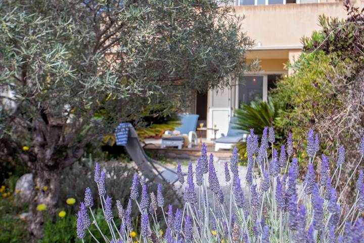 Gîte pour 4 personnes, avec jardin, animaux acceptés à Calvi - 2
