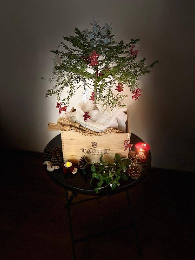 Gîte pour 4 personnes, avec terrasse et vue à Caudiès-de-Fenouillèdes