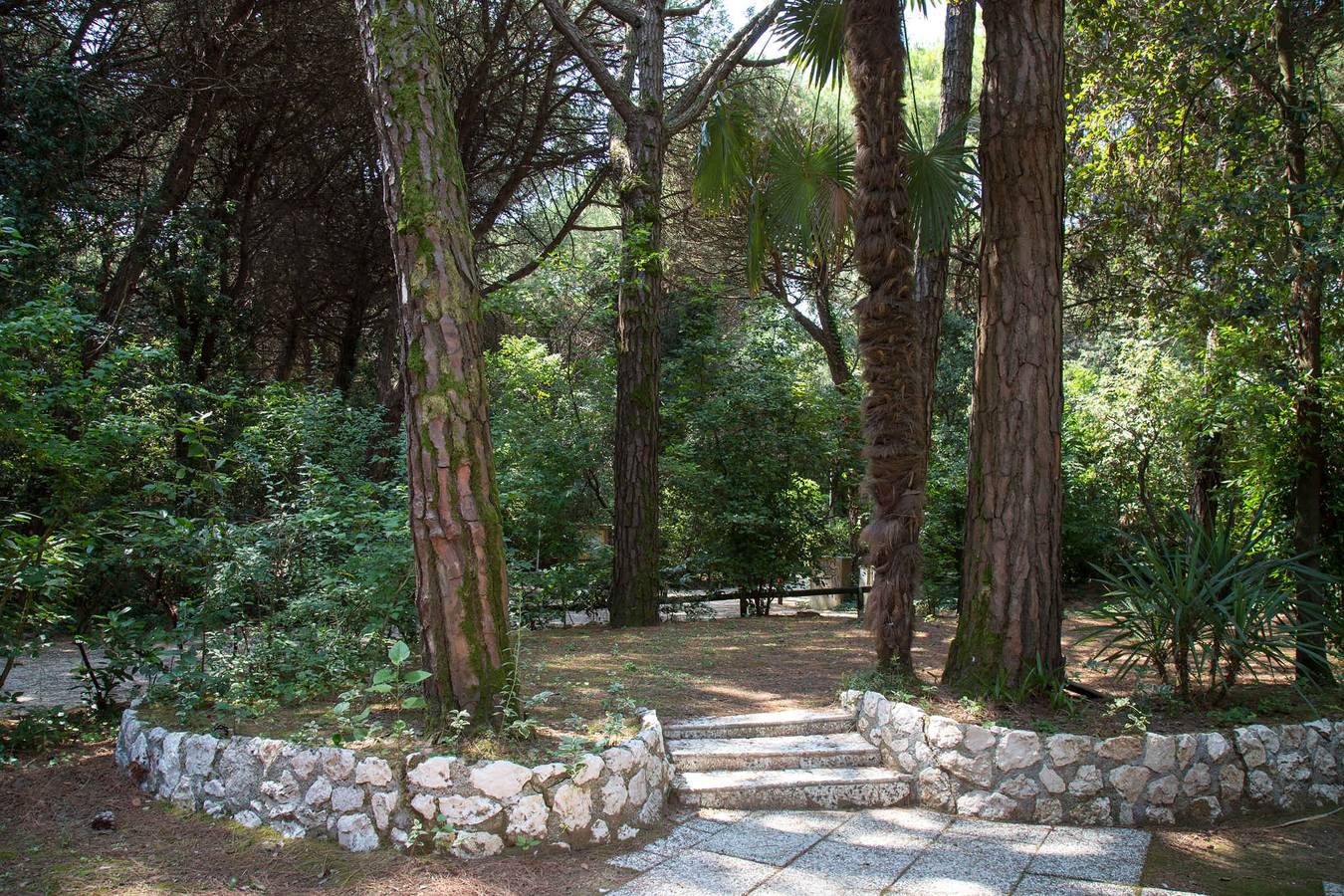 Bungalow a 80 m dalla spiaggia nel mezzo della pineta  in Eraclea Mare, Provincia di Venezia