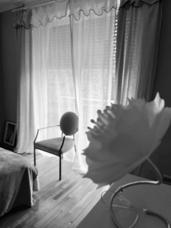 Villa pour 9 personnes, avec jardin et vue à Saint-Malo - 4