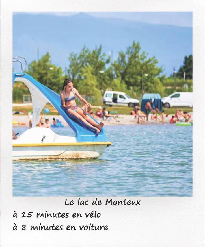 Gîte pour 2 personnes, avec piscine et terrasse, animaux acceptés à Entraigues-sur-la-Sorgue - 4