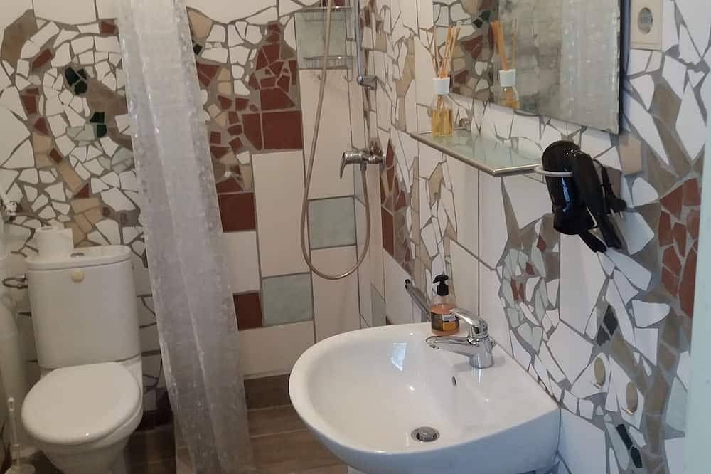 Bos, water, steen, \"klein Canada\" in het midden van Saksen. in Kirchberg, Chemnitz (region)