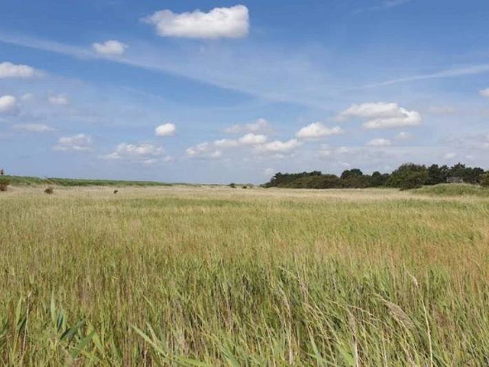 Kustenserenitat in Faldsled in Millinge, Kleiner Belt