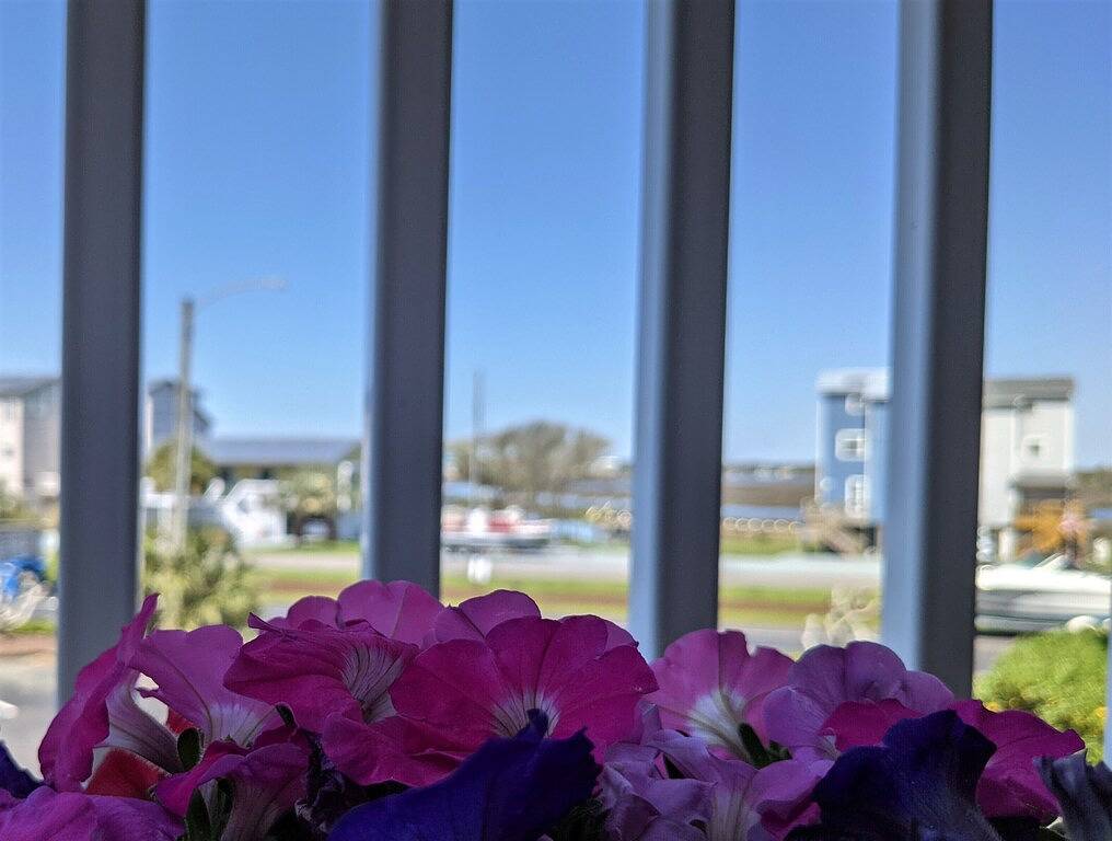 Ganze Wohnung, Topsail Dunes Beach Condo - Oceanfront! First Floor! Ramp Access! in North Topsail Beach, Camp Lejeune