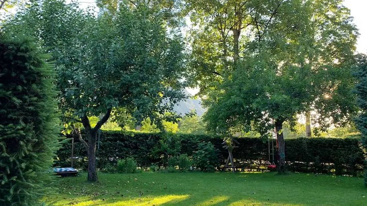 Ferienhaus für 6 Personen (150 m²) in Rottach-Egern in Rottach-Egern, Beierse Alpen