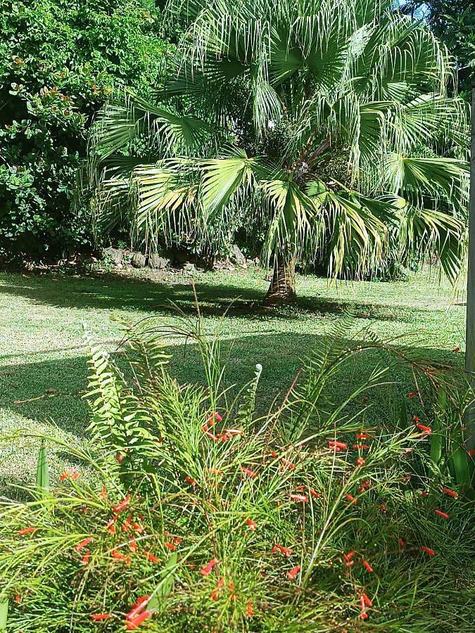 Gîte pour 3 personnes, avec terrasse et piscine à Baillif - 3