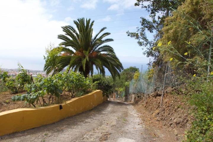 Casa rural para 3 personas, con jacuzzi y jardín en La Orotava - 4