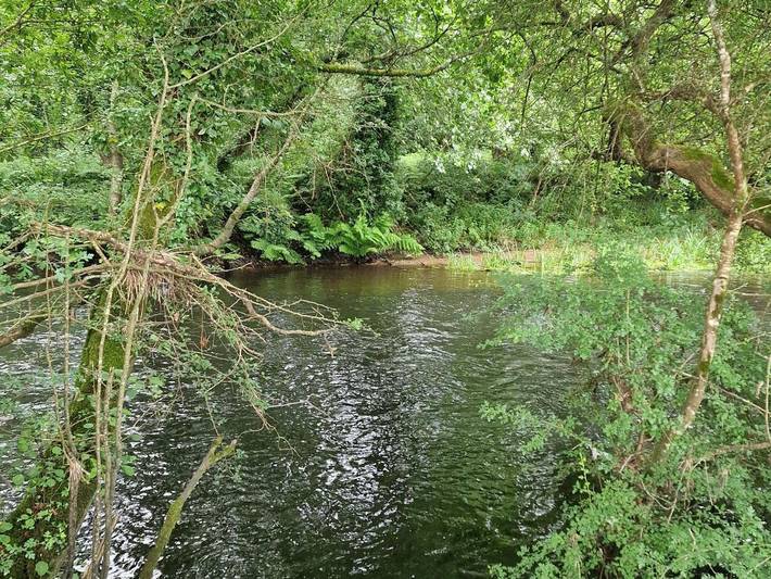 Casa rural para 2 personas, con jardín y vistas en Provincia de La Coruña - 3