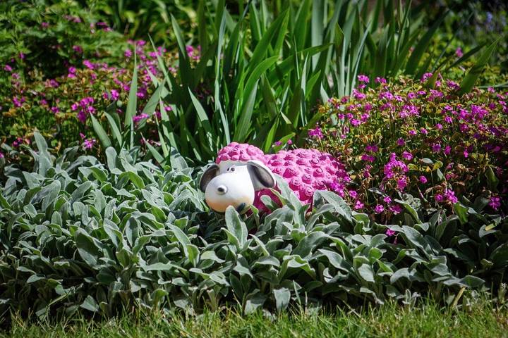 Maison de vacances pour 6 personnes, avec jardin et terrasse à Albi