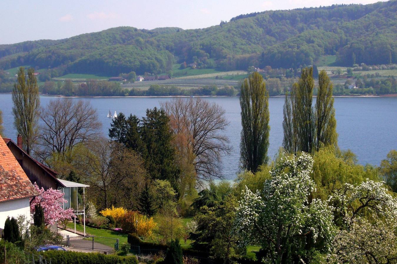 Ganze Ferienwohnung, Fewo Kattenhorn - Alexander Braun - Neuwertige Ferienwohnung mit traumhaftem Seeblick in Öhningen, Untersee
