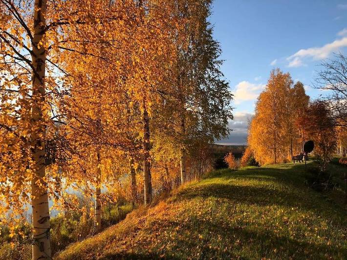 Gîte pour 2 personnes, avec jardin à Ivalo - 4