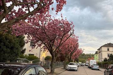 Ferienhaus für 6 Personen, mit Garten und Pool sowie Sauna in Dresden