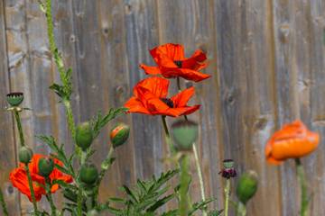 Ferienhaus für 4 Personen in Schwaben, Bayerisch Schwaben, Bild 4