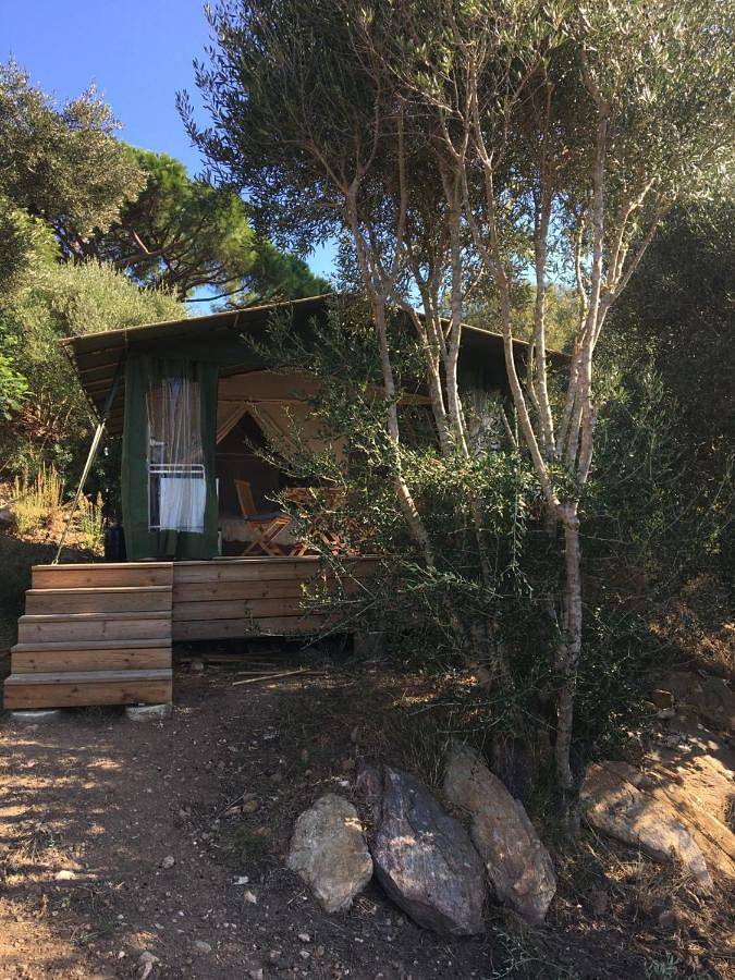 Gîte pour 2 personnes, avec jardin ainsi que vue et terrasse dans Île du Levant - 4